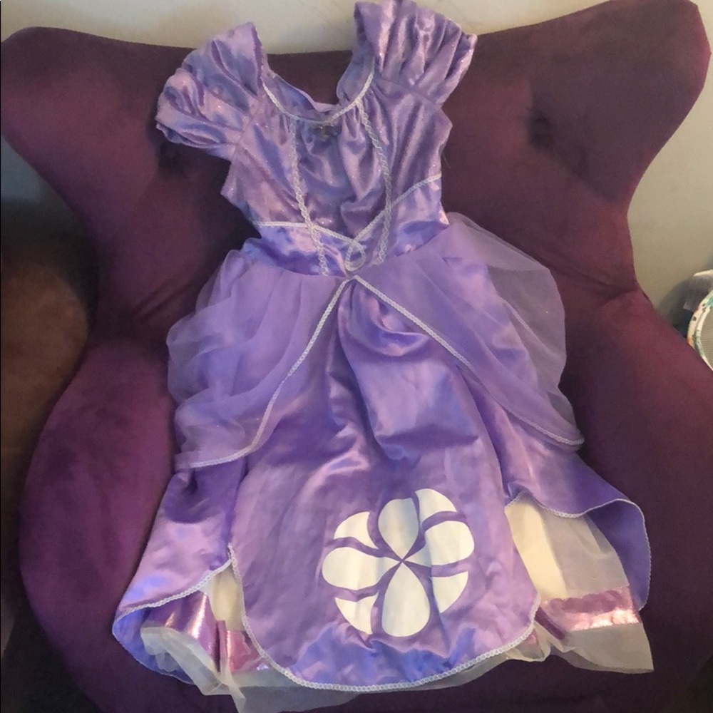 Princes dress